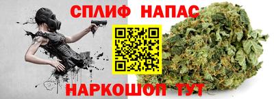 твердый Бийск
