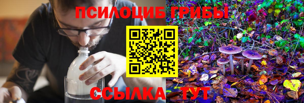 Галлюциногенные грибы ЛСД  Галлюциногенные грибы мицелий  Карталы  Вход с VPN 